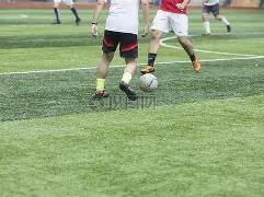 哥斯達黎加,對德國小組,敗北,新葡京,新葡京app,新葡京娱乐,新普京赌场